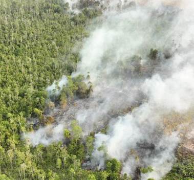 Malaysia, Indonesia to synchronise haze suppression ops as monsoon and ...
