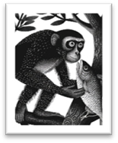 The Monkey And The Fish. The Tale of the Monkey and the Fish: A… | by ...